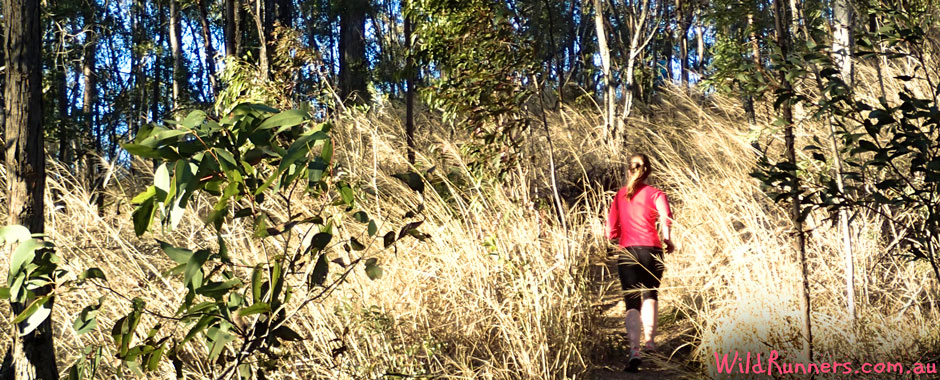 Trail Run Training Sessions - Brisbane
